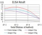 Mouse Monoclonal Antibody to LMNB2