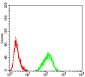 Mouse Monoclonal Antibody to LMNB2