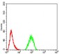 Mouse Monoclonal Antibody to TRAF2