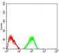 Mouse Monoclonal Antibody to TRAF2