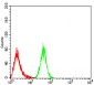 Mouse Monoclonal Antibody to MOB1A