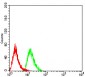 Mouse Monoclonal Antibody to MOB1A