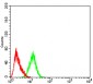 Mouse Monoclonal Antibody to PYCARD