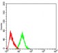 Mouse Monoclonal Antibody to PYCARD