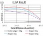 Mouse Monoclonal Antibody to XRN2