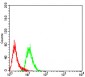 Mouse Monoclonal Antibody to DHX58