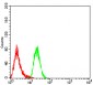 Mouse Monoclonal Antibody to DHX58