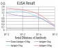 Mouse Monoclonal Antibody to SYN1