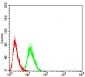 Mouse Monoclonal Antibody to SYN1