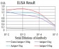 Mouse Monoclonal Antibody to DNMT3A