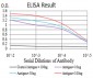 Mouse Monoclonal Antibody to Rab6b