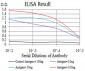 Mouse Monoclonal Antibody to LGALS1