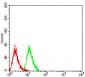 Mouse Monoclonal Antibody to LGALS1