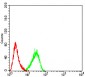 Mouse Monoclonal Antibody to KDM1A