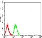 Mouse Monoclonal Antibody to PLD2