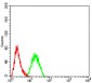 Mouse Monoclonal Antibody to CD2