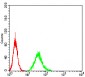 Mouse Monoclonal Antibody to DAPP1