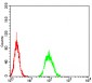 Mouse Monoclonal Antibody to TLR9