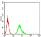 Mouse Monoclonal Antibody to TLR9