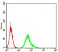 Mouse Monoclonal Antibody to TLR9