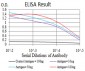 Mouse Monoclonal Antibody to CTNNA1