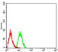 Mouse Monoclonal Antibody to PSMC3