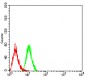 Mouse Monoclonal Antibody to PSMC3