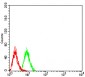 Mouse Monoclonal Antibody to TRAF2