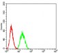 Mouse Monoclonal Antibody to SUZ12