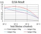 Mouse Monoclonal Antibody to BIN1