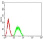 Mouse Monoclonal Antibody to BIN1