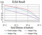 Mouse Monoclonal Antibody to EIF5