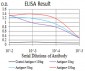 Mouse Monoclonal Antibody to EIF5