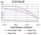 Mouse Monoclonal Antibody to B3GAT1