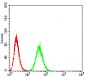 Mouse Monoclonal Antibody to B3GAT1