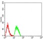 Mouse Monoclonal Antibody to CD2