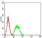 Mouse Monoclonal Antibody to UFD1L