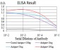 Mouse Monoclonal Antibody to AKT3