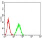 Mouse Monoclonal Antibody to DDX1