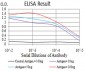 Mouse Monoclonal Antibody to DDX1