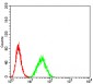Mouse Monoclonal Antibody to DDX1