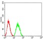 Mouse Monoclonal Antibody to CALB2