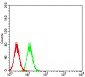 Mouse Monoclonal Antibody to CALB2