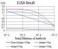 Mouse Monoclonal Antibody to CALB2