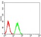 Mouse Monoclonal Antibody to BNIP3