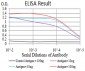 Mouse Monoclonal Antibody to DNTT