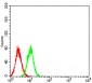 Mouse Monoclonal Antibody to DNTT