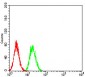 Mouse Monoclonal Antibody to TRIM25