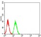 Mouse Monoclonal Antibody to TRIM25