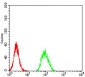 Mouse Monoclonal Antibody to RBFOX3